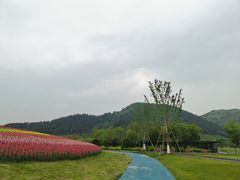 -径山花海
