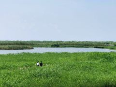 -宁波杭州湾国家湿地公园