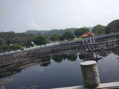 -红山村