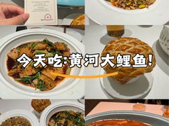 -阿五黄河大鲤鱼(海尚店)