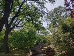 -石家庄市动物园