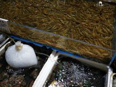 -济南海鲜大市场