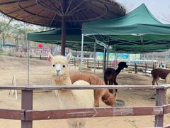-盈香心动乐园