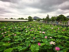 -哈尔滨大剧院