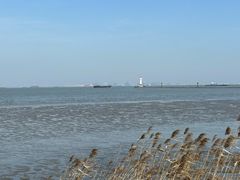 -上海吴淞炮台湾国家湿地公园