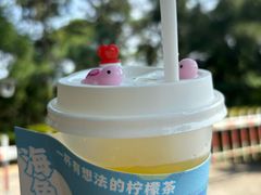 -广东惠东海龟国家级自然保护区