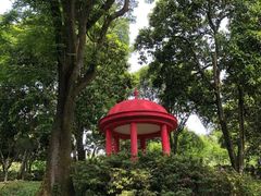-南山植物园