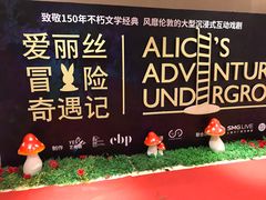 -爱丽丝冒险奇遇记