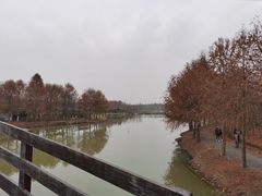 -上海海湾国家森林公园