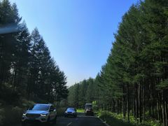 -塞罕坝国家级自然保护区