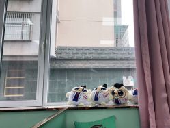 -痘博士天津·全国连锁祛痘机构