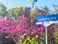 -南汇桃花村