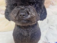 -纳吉亚猫专科动物医院博雅分院