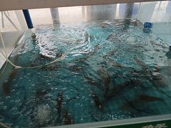 -品鲜村农家菜·阳澄湖大闸蟹(总店)
