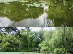 -万泉公园