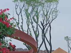 -武汉动物园