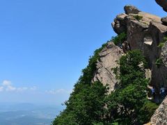 -大连天门山国家森林公园