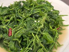 -山菌美食苑(振兴路店)