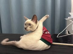 -忠犬公馆(月亮湾店)