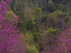 -天台山赤城山景区