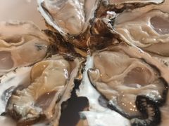 -千岛蚝高压锅生蚝·人参火锅(白云万达店)