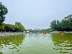 -莲湖公园