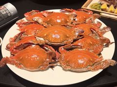 -望海湾海鲜楼·海鲜(河南路店)