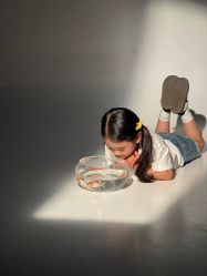 -大树儿童摄影