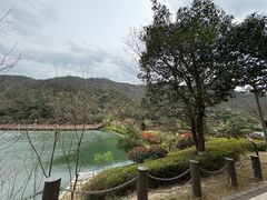 -桃花岭景区
