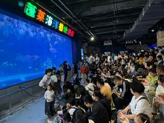 -蓬莱欧乐堡海洋极地世界