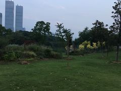 -艾溪湖湿地公园