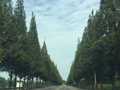 -稻香村鱼庄