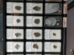 -志强陨石馆(双季花艺店)