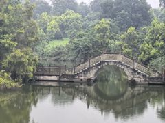 -张坝桂圆林公园