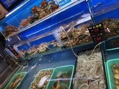 -船梆煮•蒸汽海鲜·炉火烤肉(五四广场店)