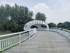 -同里国家湿地公园