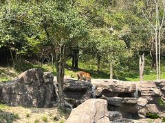 -宁波野生动物园