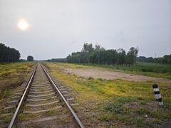 -东郊湿地公园