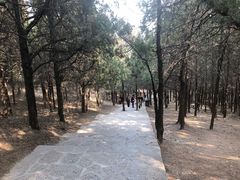 -青州市云门山风景区