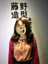 -藤野造型·专业烫染店