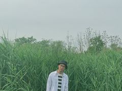 -白鹭湾湿地公园