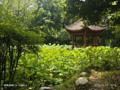 -两河城市森林公园