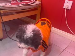 -喜推推中式推拿·按摩·轻养生(理工大学店)