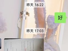 -北京观赏动物医院·24小时大型综合·猫专科·异宠专科