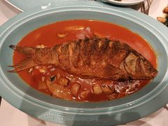 -阿五黄河大鲤鱼(海尚店)