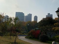 -中山公园