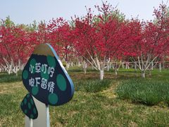 -南翠屏公园