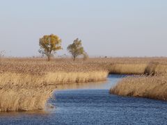 -黑龙江扎龙生态旅游区