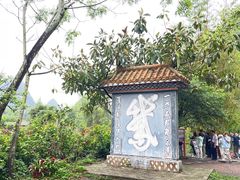 -靖西鹅泉风景区