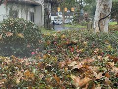 -杭州西湖柳莺里酒店·闻莺厅